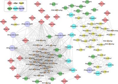 Recent Advances in the Roles of HSFs and HSPs in Heat Stress Response in Woody Plants